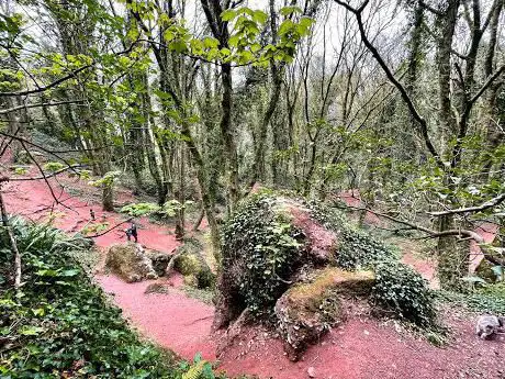 Watcombe Beach Woods