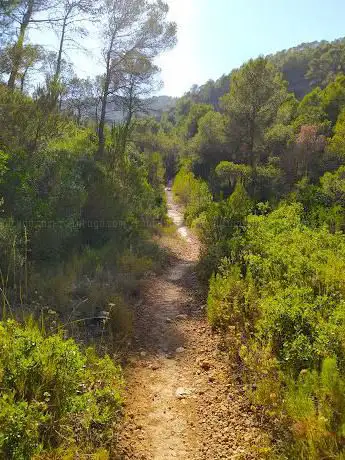 Photo de Senda Botánica Llombai