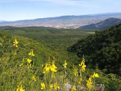 Photo de Massa Corbi