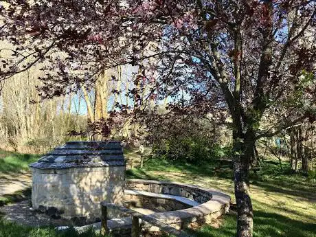 Photo de Fuente Vieja - Merendero