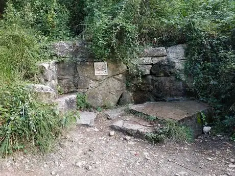 Photo de Font de Socies