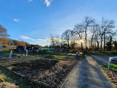 Photo de Sayes Court Allotments