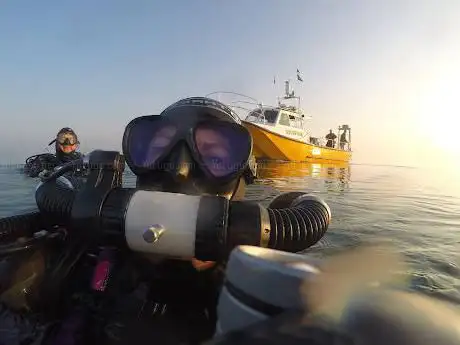 Photo de C Life Dive School Ltd