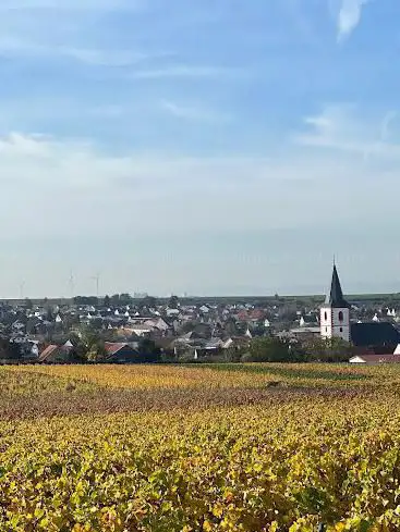 Kirchbühl Hohl