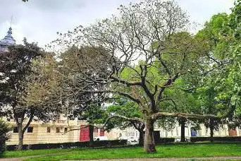 Square Arlette Gruss