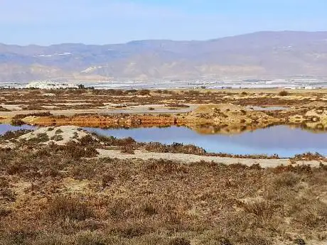 Photo de Punta Entinas