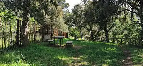 Photo de arqueolóxico Park