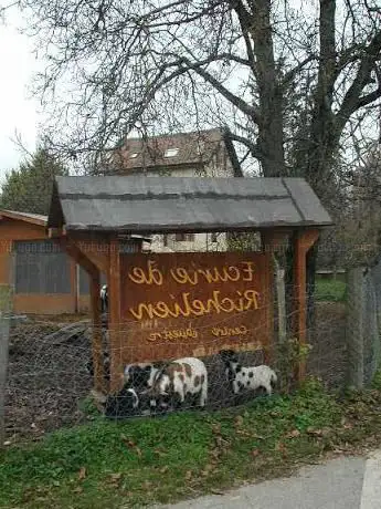 Raverdino MSChrom Versoix