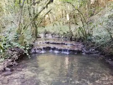 Photo de Starting point Balade Le Ruisseau de Noire Fontaine