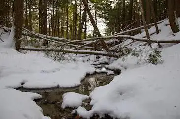 Photo de Falmouth Nature Preserve and Mill Creek Preserve