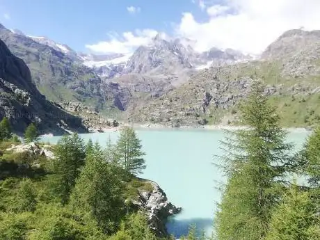 Photo de Fellaria glacier