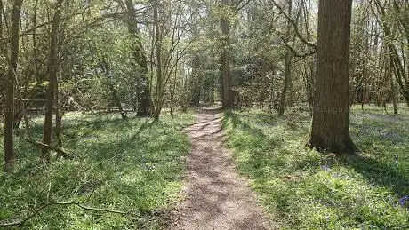 Photo de Cucknell's Wood