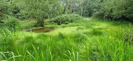 Blakes Pond