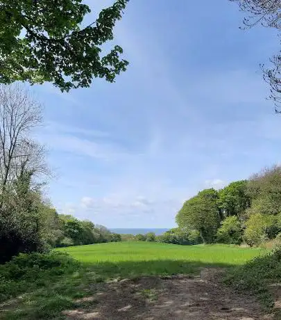Photo de Hawthorne dene footpath