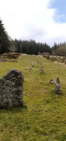 Photo de Assycombe stone row