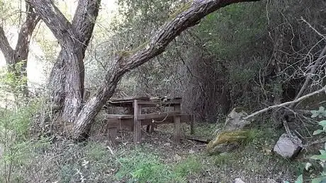 Panca Ristoro