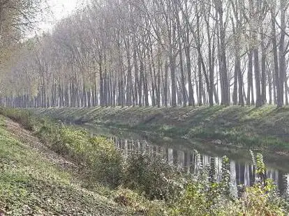 Photo de fietsroute schipdonkkanaal