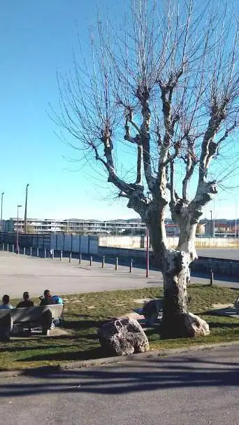 Photo de Skate Park