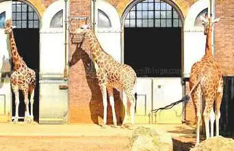 Photo de ZSL London Zoo
