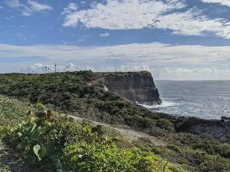 Photo de Pointe Petit Nègre