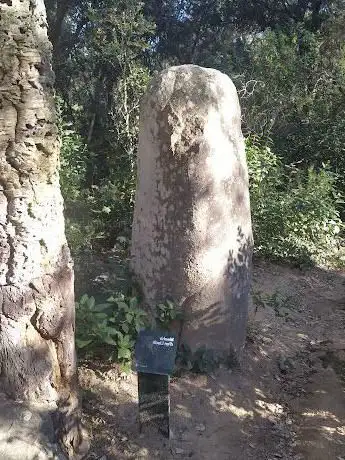 Photo de menhir d'en Llach