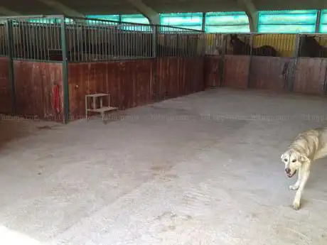 Photo de Club HÃpico La Granja