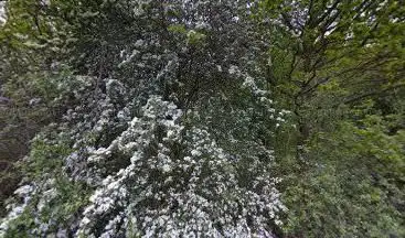 Photo de Nature Park