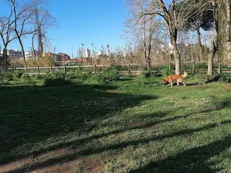 Area sgambamento per cani grandi