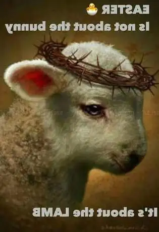 Living Word Church Network