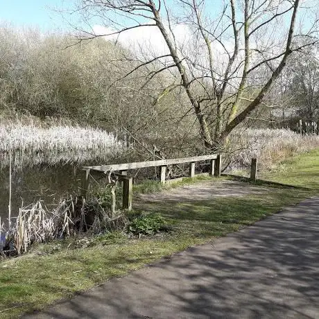 Greythorne Dyke Open Space (Kingfisher Pond)
