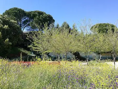 Photo de Mariano Sánchez Ruiz Park