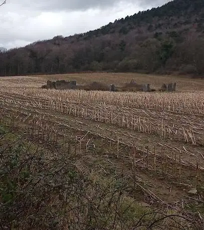 Gorsedd Stones