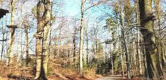 Dählhölzliwald