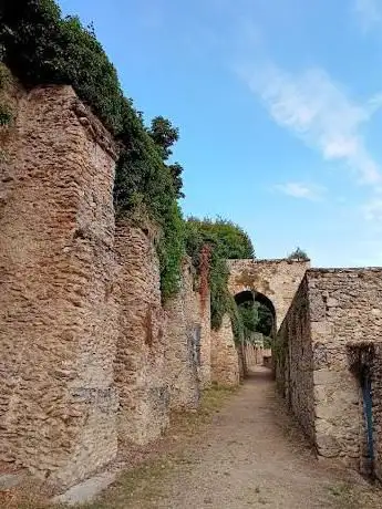 Photo de Étang de la ville