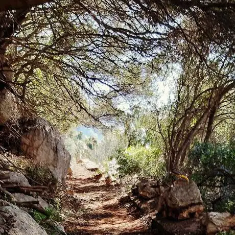 Photo de Sentiero di Monte Idda