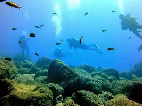 Photo de BUCEO ESTEPONA - Diving Center