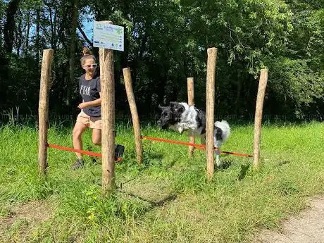 DoggyDo Wandeling