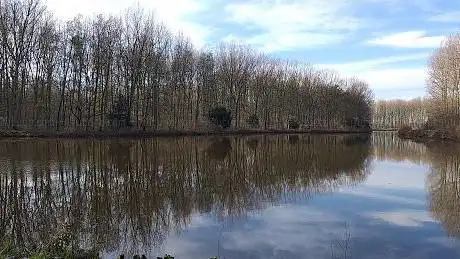 Bois des Forts