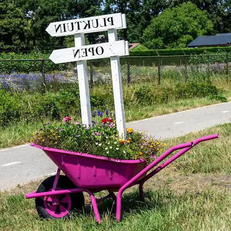 Photo de Pluktuin de grens