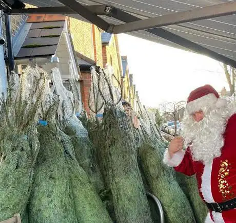 Photo de Christmas Tree Corner- Surbiton