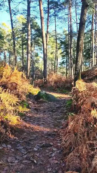 Photo de Promenade rocher du prince