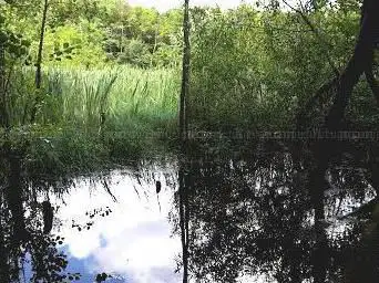 Photo de Froschteich Kleinblittersdorf