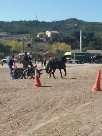 Photo de Club Escola HÃÂpica Anoia