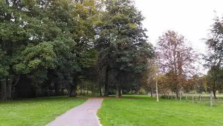Départemental des Hautois Woods
