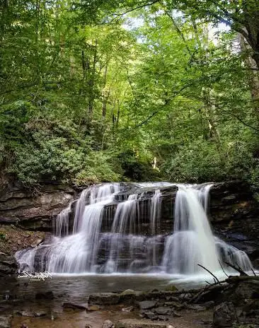 Photo de Holly River State Park