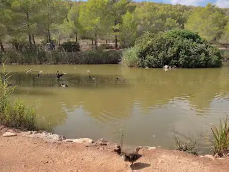 Photo de Estanc dels anecs