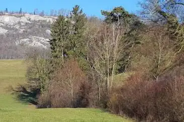 Parc des Boulaines