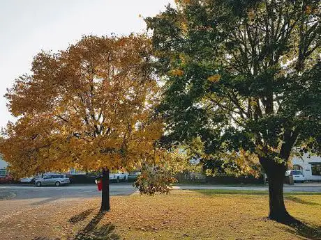 Photo de Upper Arncott Park