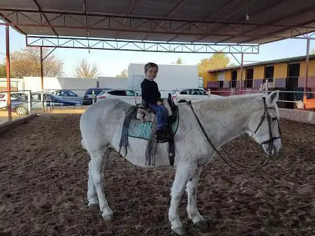 Photo de Equitación La Garrocha