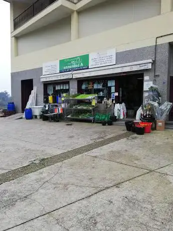 Photo de Agro A Labranza